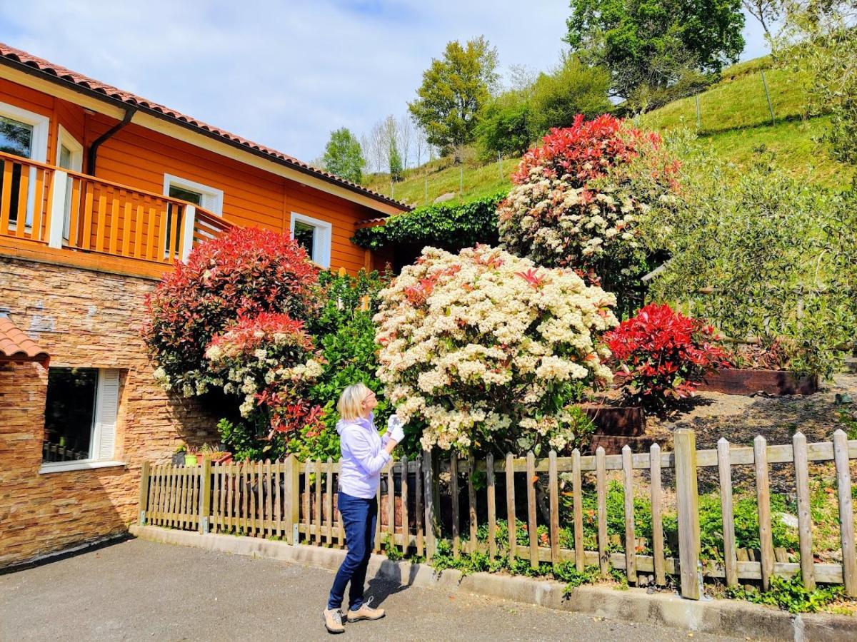 Casa Rural Arbegain Etxea Aizarna 外观 照片
